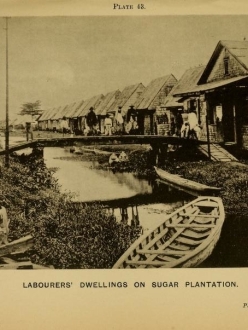 Handbook of BG 1909 labs dwellings on sugar estate